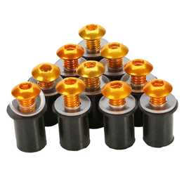 [RCT-WIND-BOLT] Racecraft Screen Screws Gold 10pc